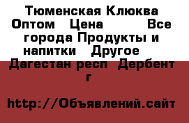 Тюменская Клюква Оптом › Цена ­ 200 - Все города Продукты и напитки » Другое   . Дагестан респ.,Дербент г.